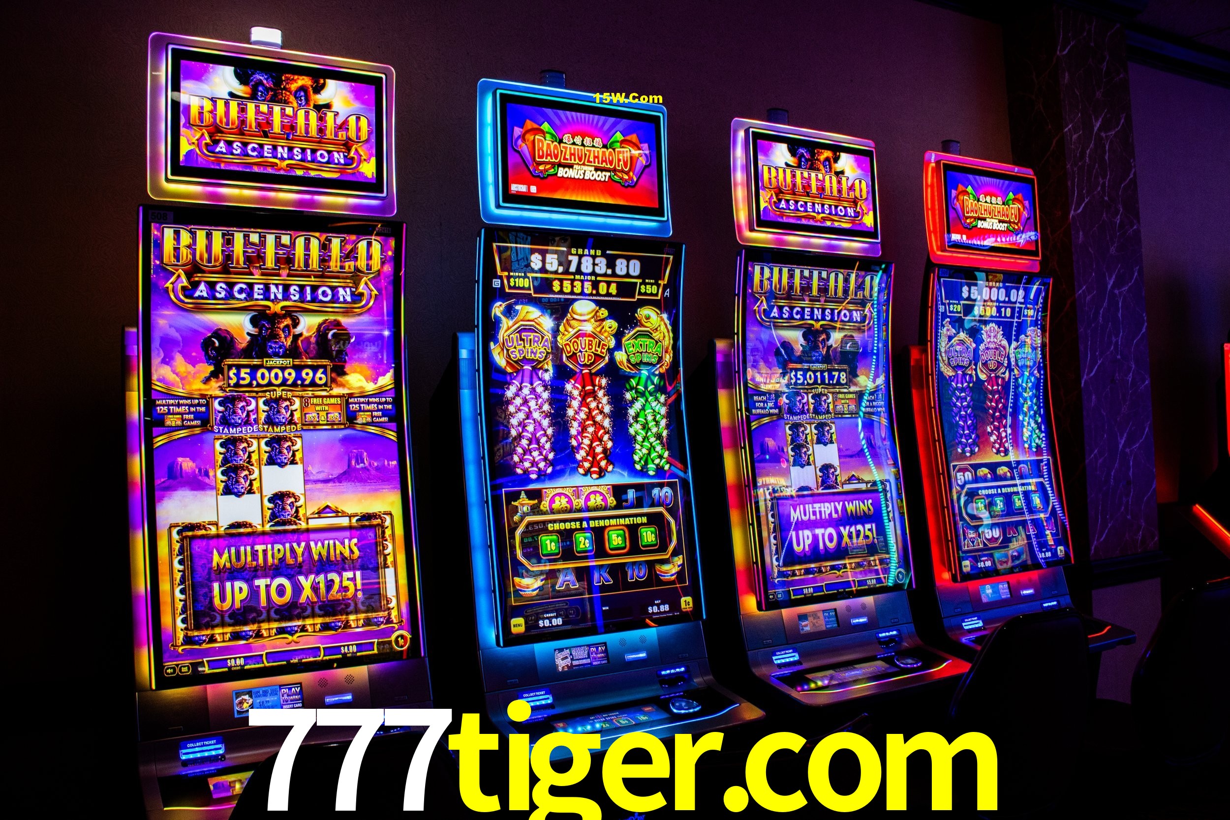 Statistics 777tiger.com